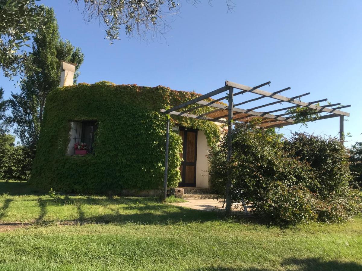 Masseria La Torre Maglie Buitenkant foto