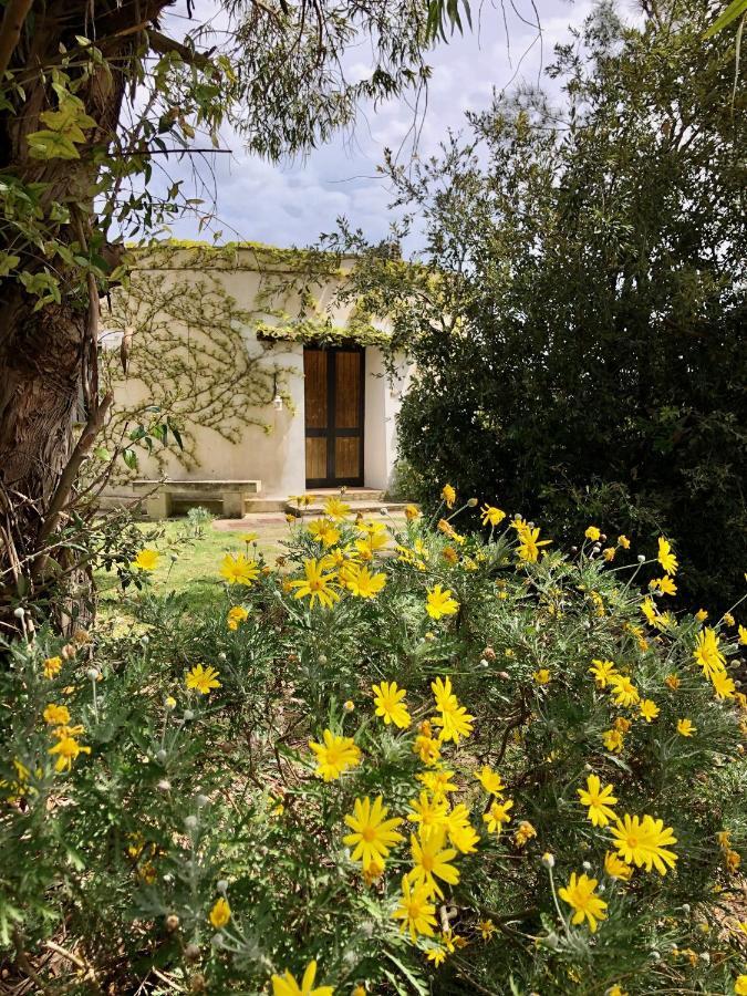 Masseria La Torre Maglie Buitenkant foto